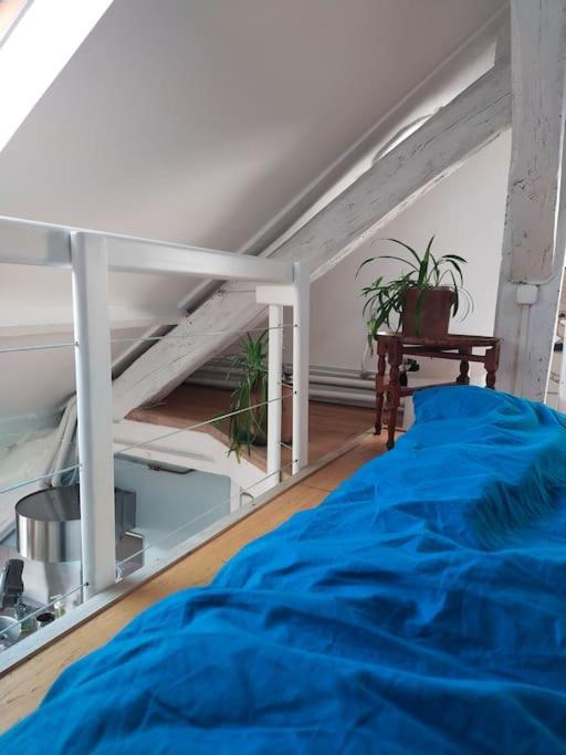 Studio Sous Les Toits Et Mezzanine - Vincennes Exteriör bild