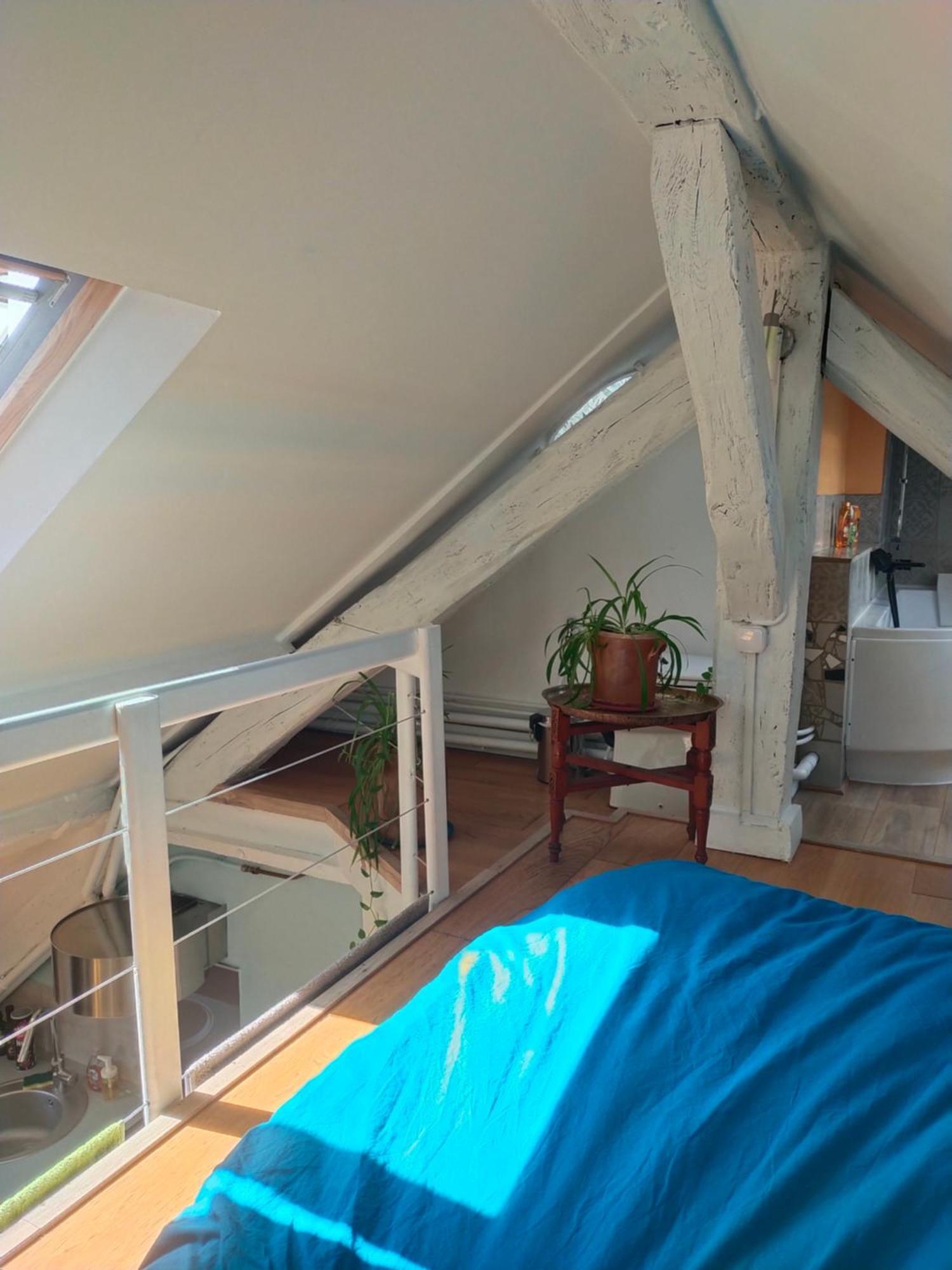Studio Sous Les Toits Et Mezzanine - Vincennes Exteriör bild