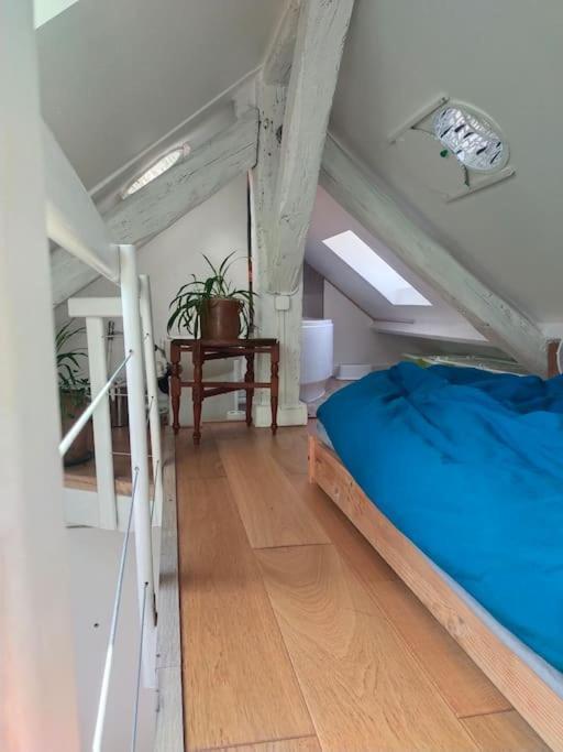 Studio Sous Les Toits Et Mezzanine - Vincennes Exteriör bild