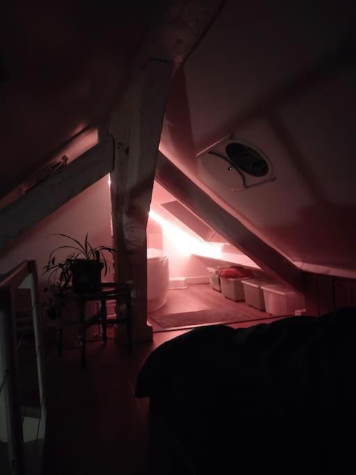 Studio Sous Les Toits Et Mezzanine - Vincennes Exteriör bild